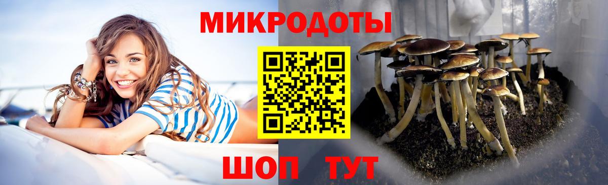 Псилоцибиновые грибы Magic Shrooms Алушта