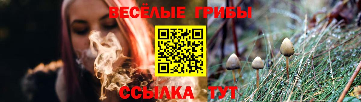 Псилоцибиновые грибы Psilocybine cubensis  Псилоцибиновые грибы MAGIC MUSHROOMS  Алушта  Вход с VPN 